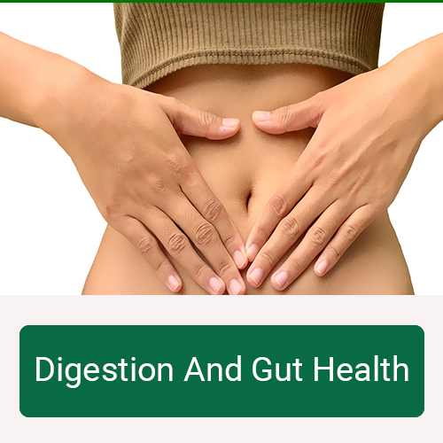 digestion-and-gut-health